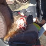 Woman killed in road accident