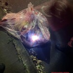 Woman's body found dumped in plastic bag