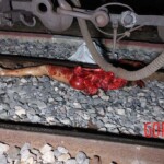 Woman dismembered by train