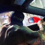 Fernando Pérez Algaba