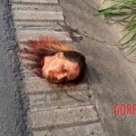 Decapitated female motorcyclist