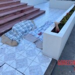 Sarah Arauco Mendoza and Dagner Rojas