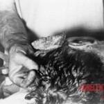 John F. Kennedy autopsy