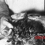 John F. Kennedy autopsy