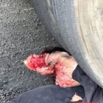 Mother and daughter crushed by truck