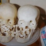 Victims of Jeffrey Dahmer