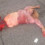 Dead woman in car crash