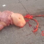 Dead woman in car crash