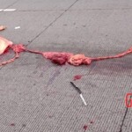 Dead woman in car crash