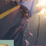 Young woman's brain splattered on road