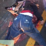 Young woman's brain splattered on road