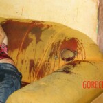 Célia Maria da Silva