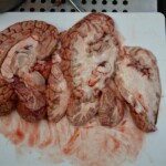 Autopsy of stabbed girl