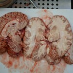 Autopsy of stabbed girl