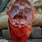 Autopsy of stabbed girl