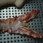 Autopsy of stabbed girl