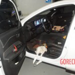 Stabbed teenage girl