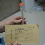 Autopsy of stabbed girl