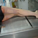 Autopsy of stabbed girl