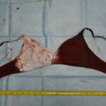 Autopsy of stabbed girl