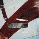 Autopsy of stabbed girl