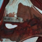 Autopsy of stabbed girl