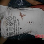 Autopsy of stabbed Chinese girl