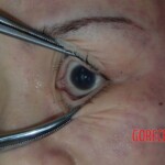 Autopsy of young woman stabbed to death