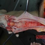 Autopsy of young woman stabbed to death