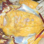 Autopsy of young girl