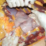 Autopsy of young girl