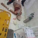 Maria Camila Souza Fritz