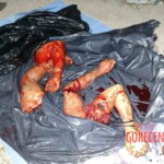 Couple's dismembered bodies found in garbage bags