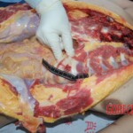 Autopsy of Chinese female