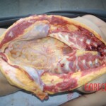 Autopsy of Chinese female