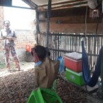 Hanged teenager with tumor