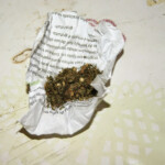 Maria do Socorro Carvalho de Lima