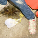 Maria do Socorro Carvalho de Lima