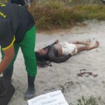 Manuela Farias do Carmo