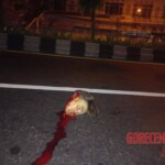 Dutch tourist beheaded in Bali