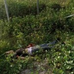 Ana Caroline Sousa Campêlo