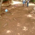 Kellyliam de Souza Leite Ribeiro