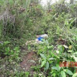 Aireen Adolfo dead body