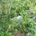 Aireen Adolfo dead body