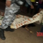 Natasha Silvina da Costa