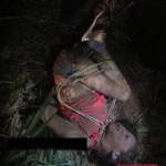 Tábata Crespilho da Rosa