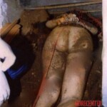 Maria Claudia Siqueira Del'Isola