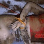 Maria Claudia Siqueira Del'Isola