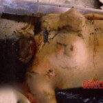 Maria Claudia Siqueira Del'Isola