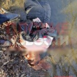 Anastasia Fokina body